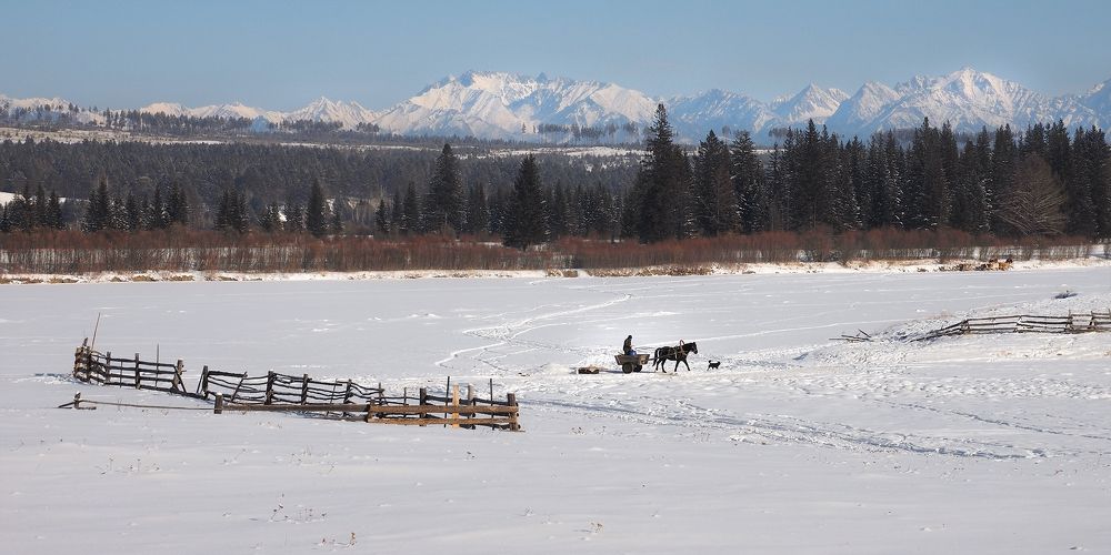Photograph by Александр Попов