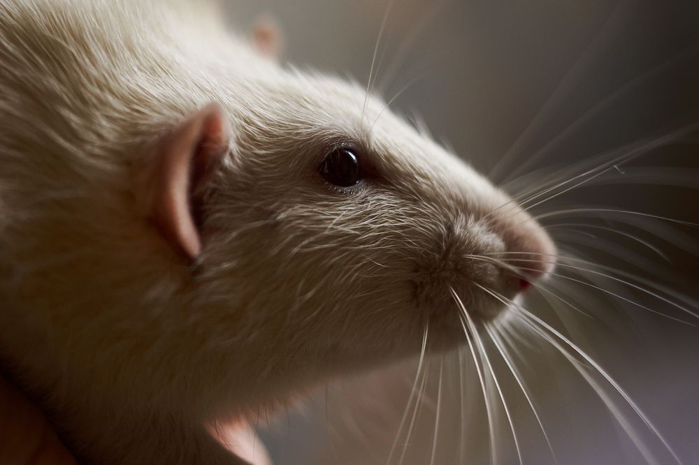 Photograph by Лариса