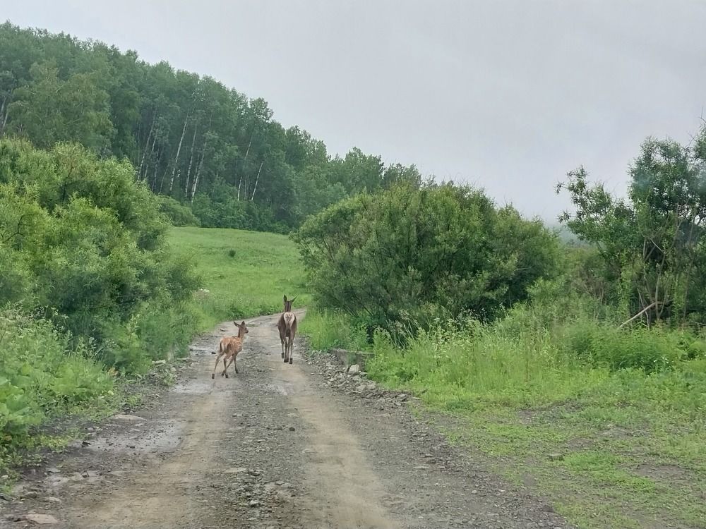 Photograph by Юлия Фирман