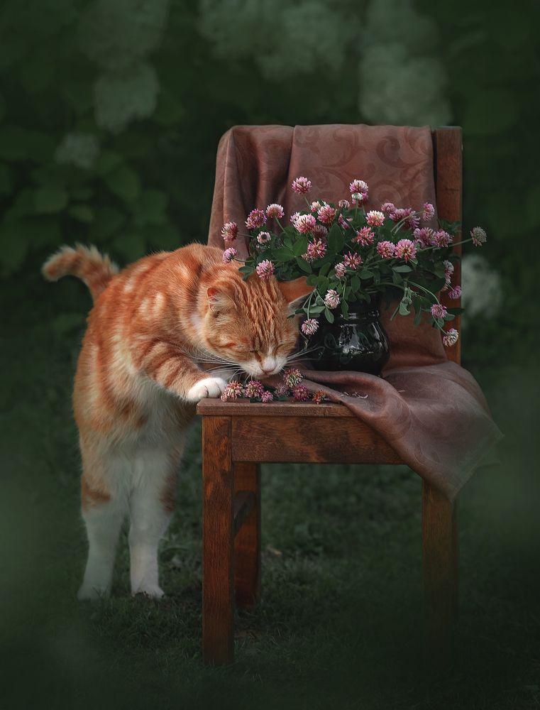 Photograph by Елена Басова