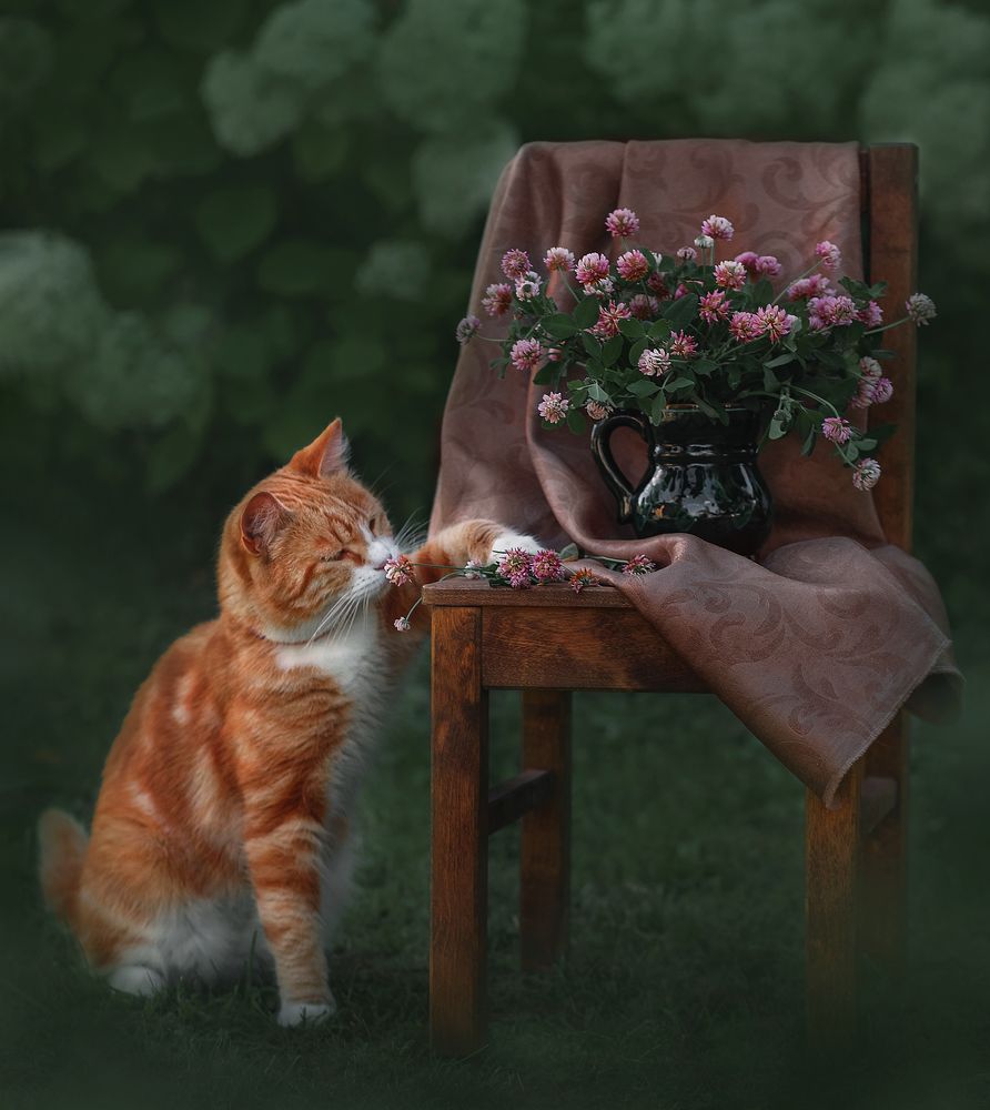 Photograph by Елена Басова