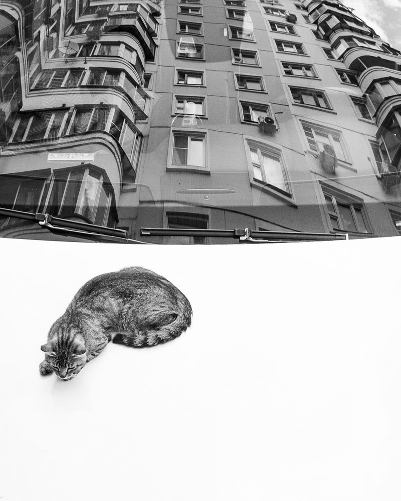 Фотография автора Артем Веселов