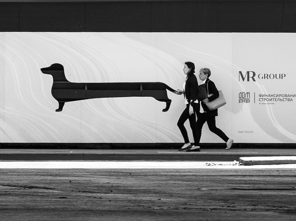 Фотография автора Артем Веселов