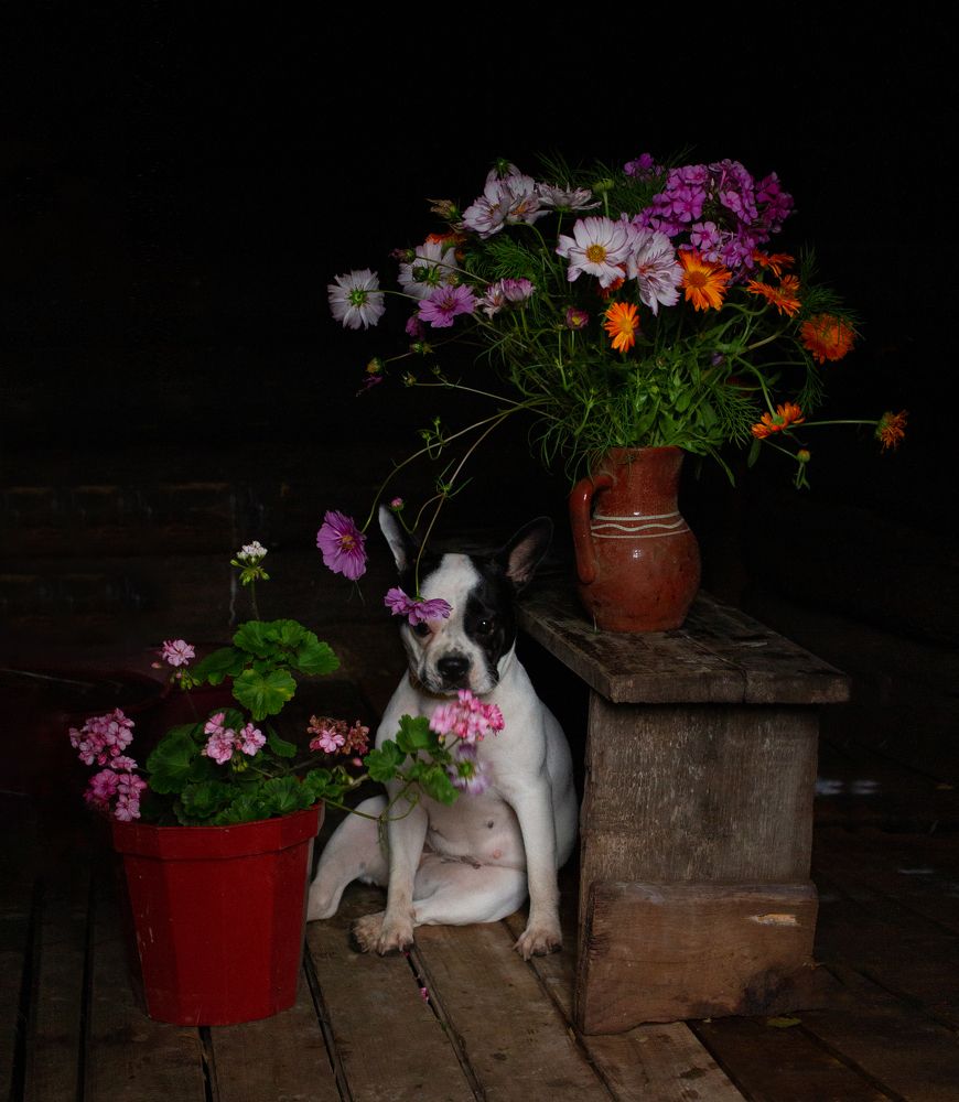 Photograph by Александр Шемятенков