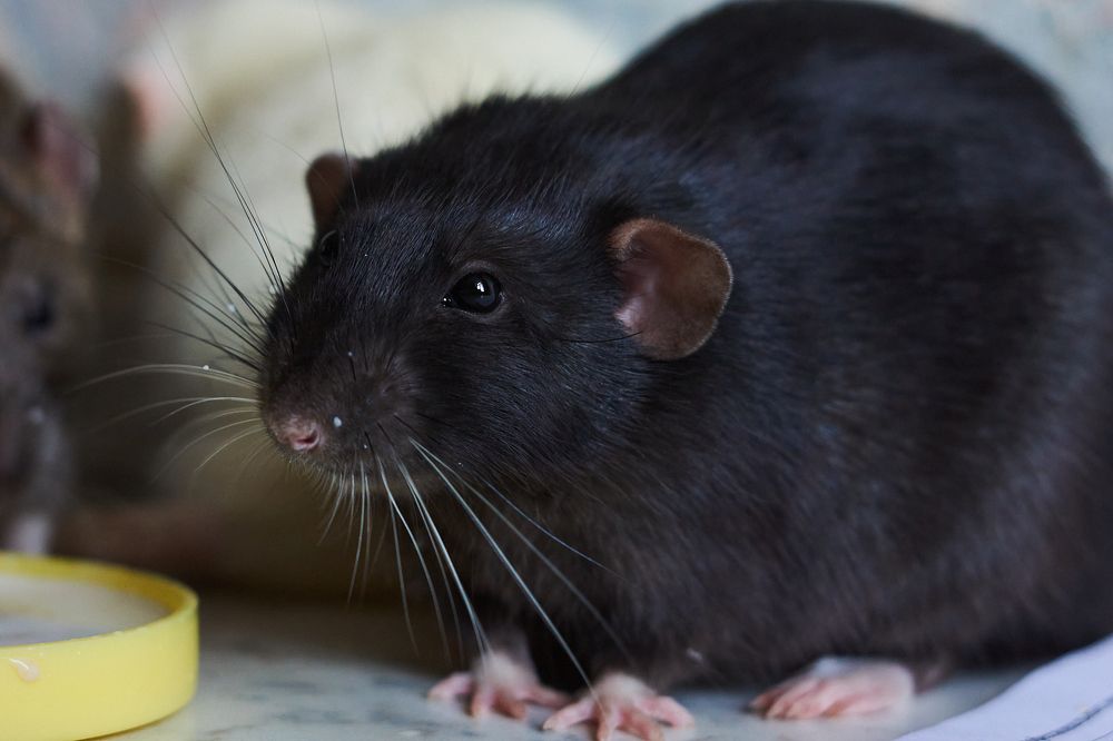 Photograph by Лариса