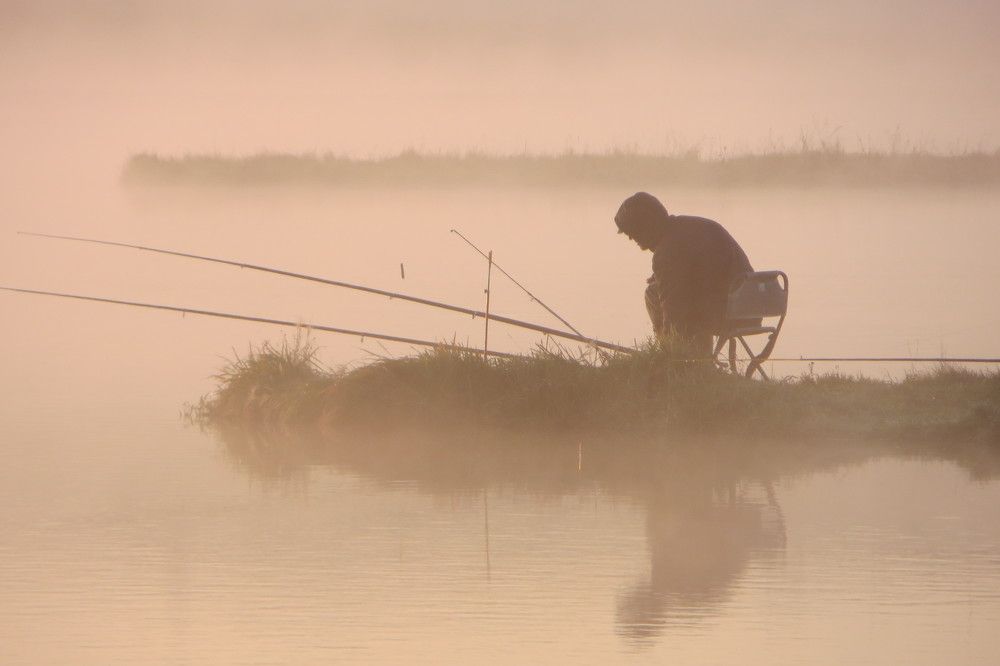 Photograph by Аркадова Елена