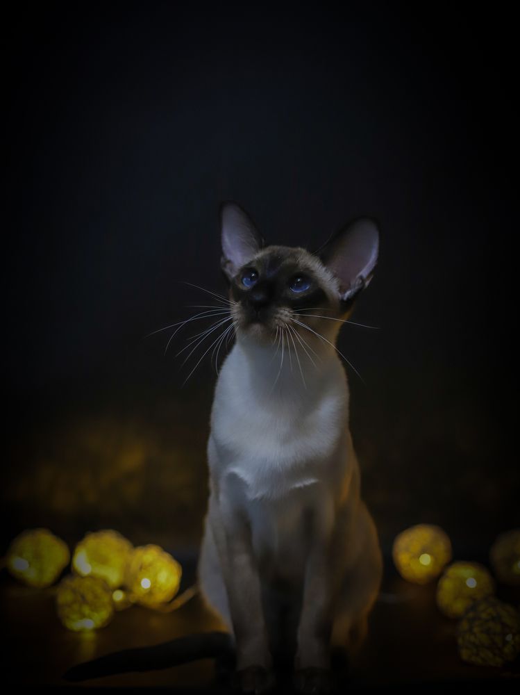 Photograph by Альвина Кузнецова