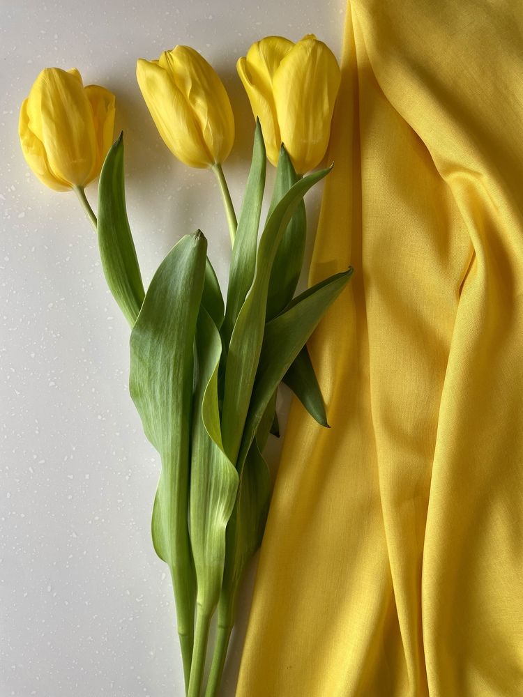 Photograph by Ольга