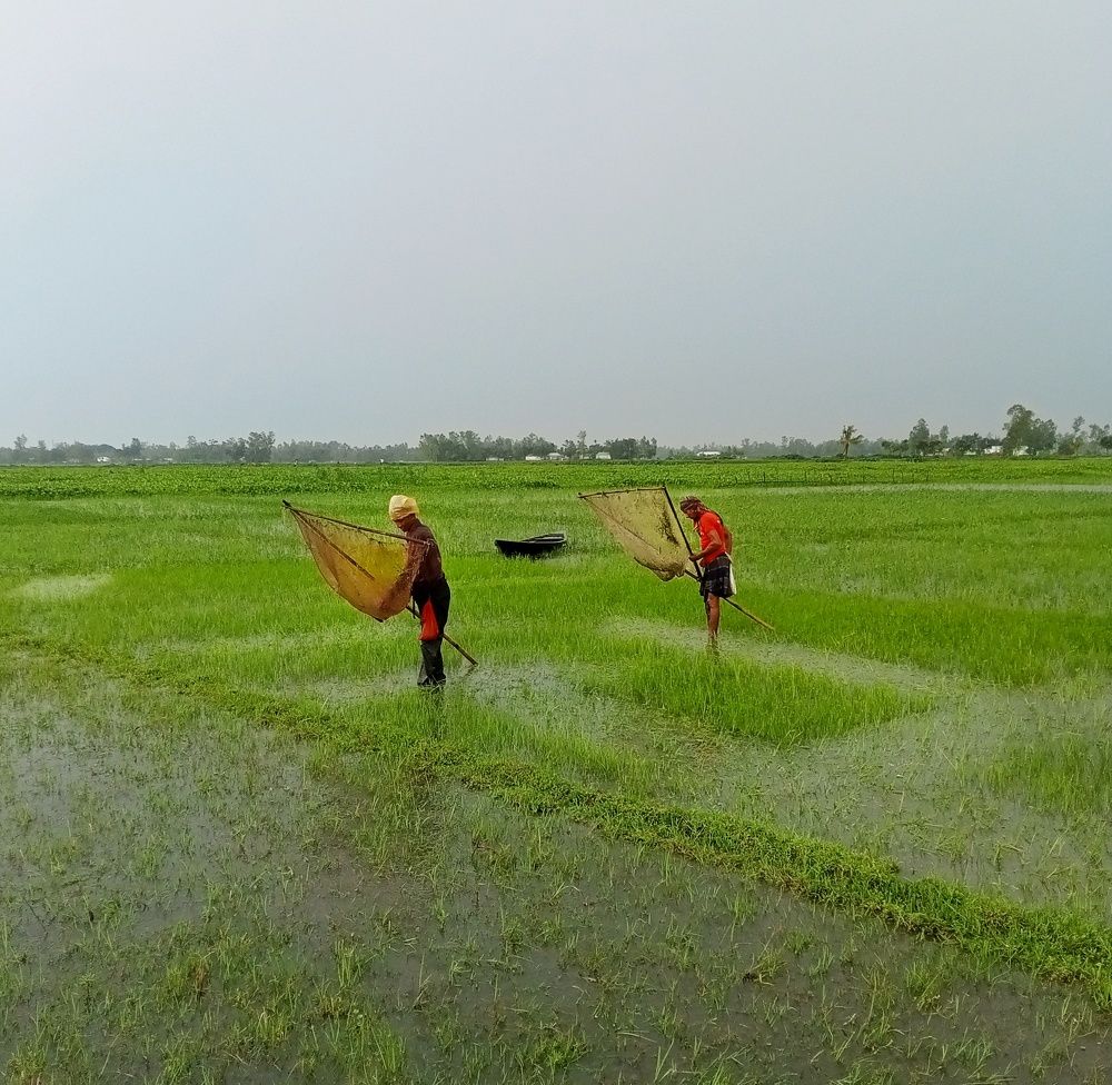 Фотография автора Ratul MD.