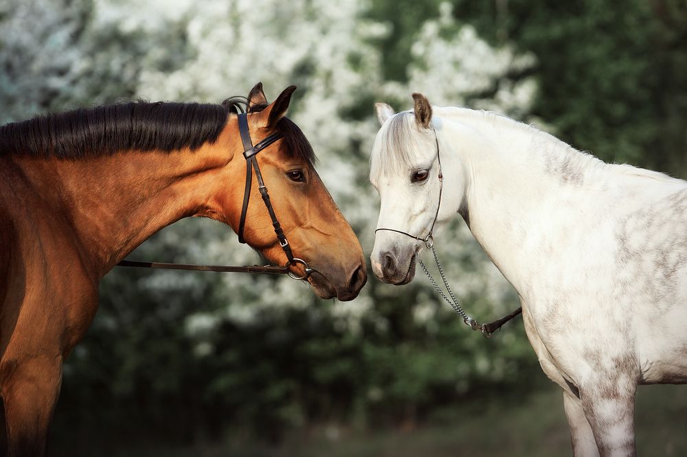 Photograph by Дарья Ералева
