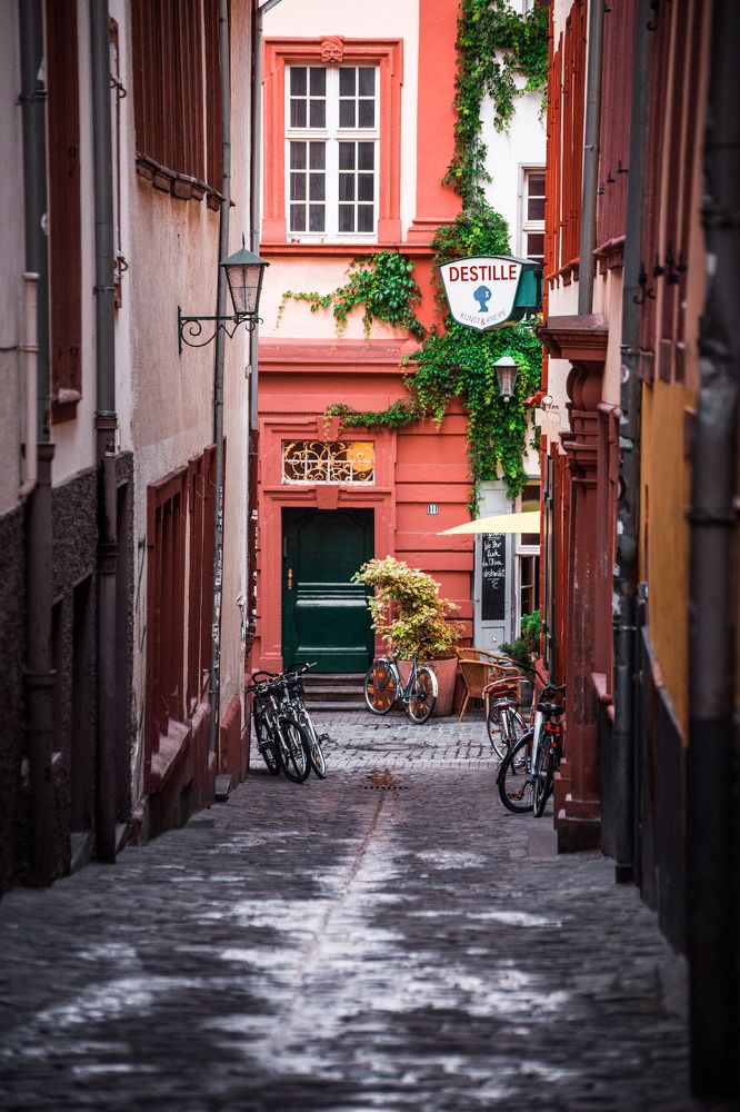 Photograph by Vasily Prokhorov