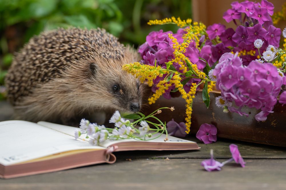 Photograph by Олеся Владимирова