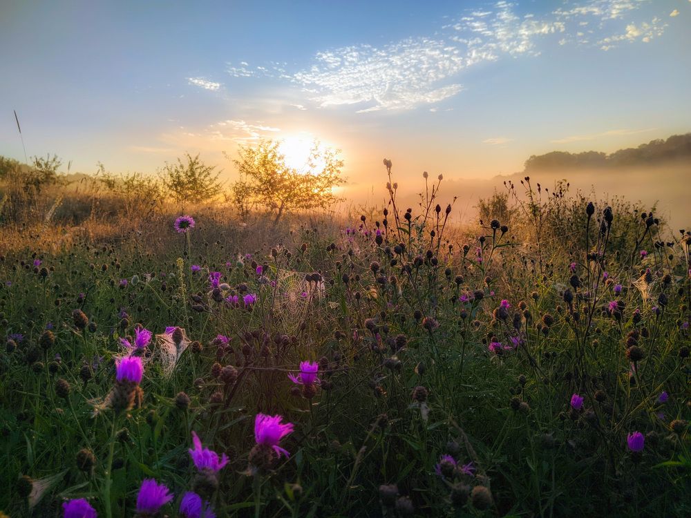 Photograph by Светлана Кондрашова