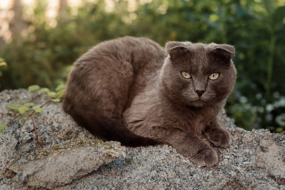 Photograph by Денис Илюхин