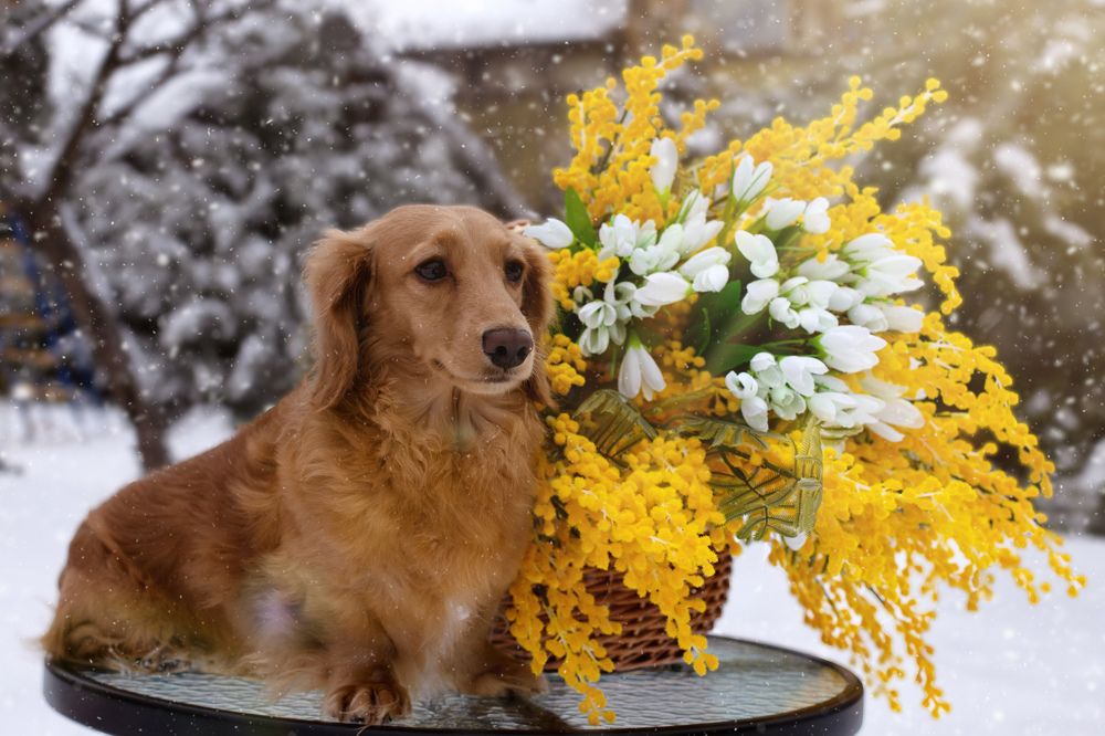 Фотография автора Наталья Смекалина