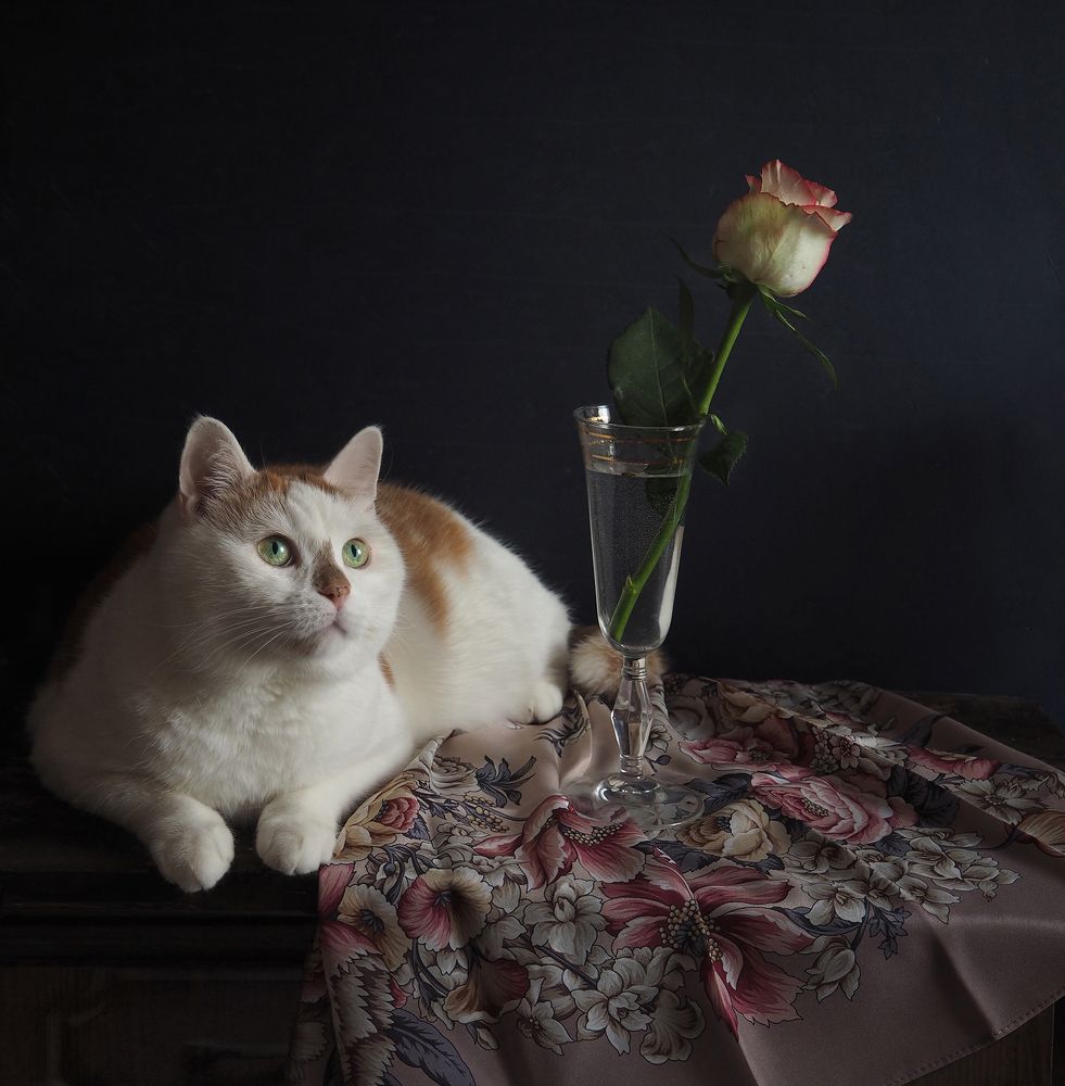 Photograph by Ольга Еремеева