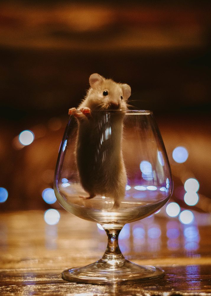 Photograph by Мария Дубова