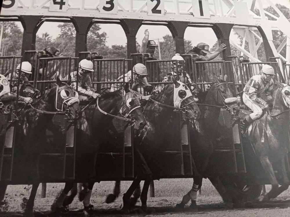 Photograph by Paul Bowers