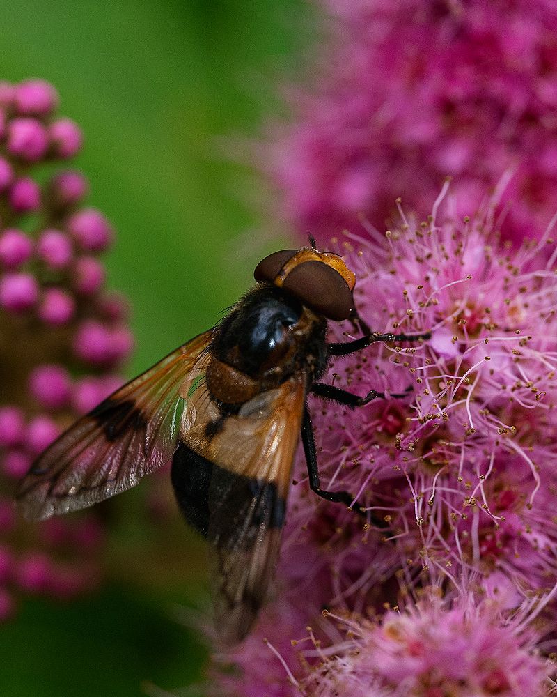 Photograph by Anna Sindikayeva
