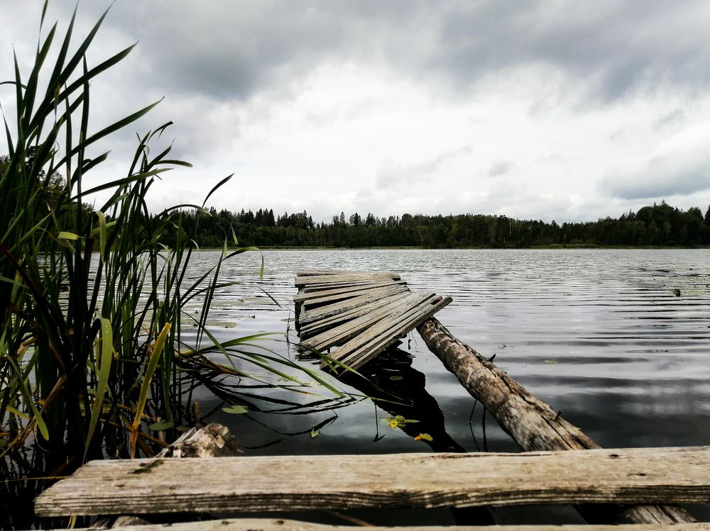 Озеро в лесу