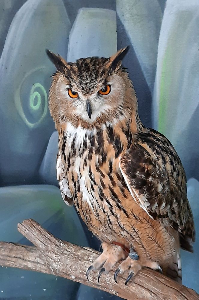 Photograph by Андрей Безгин