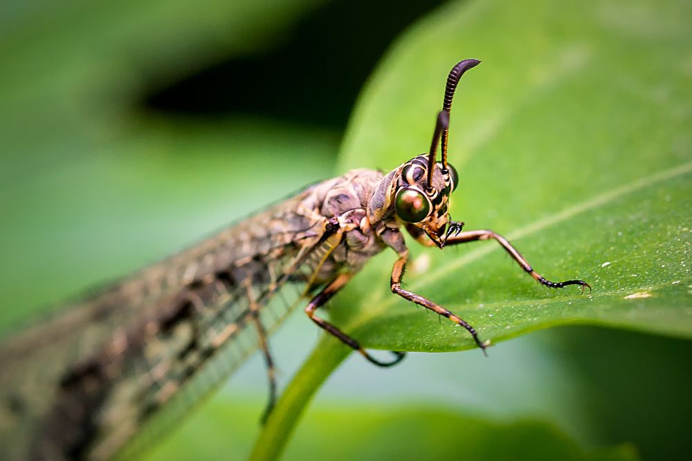 Photograph by Юрий Яковлевич