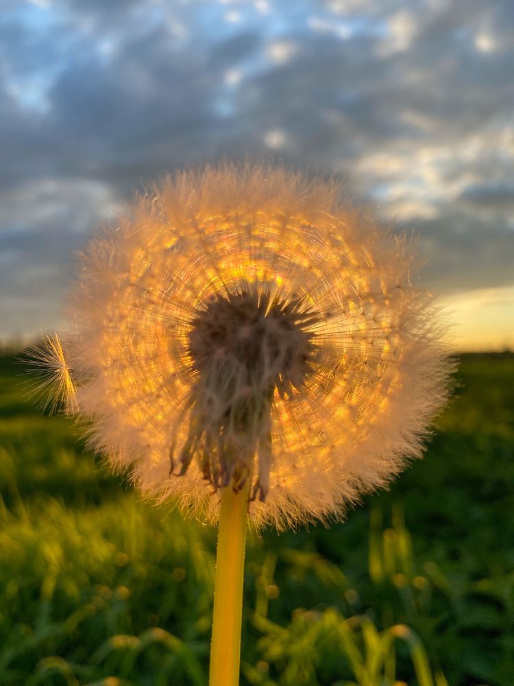 Photograph by Яна Мухина