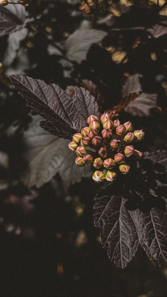 Photograph by Ландыш Мустафина