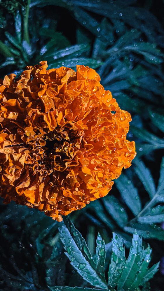 Photograph by Ландыш Мустафина