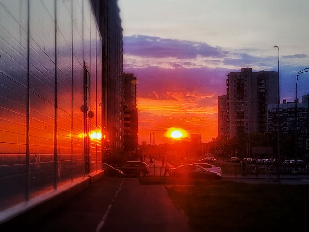 Photograph by Дайана