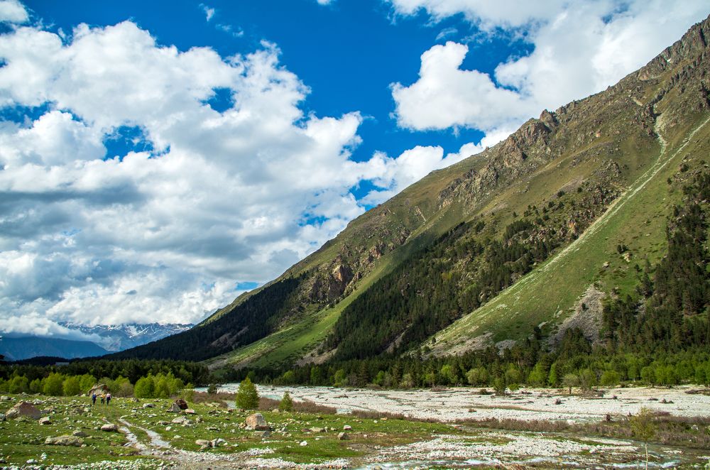 Photograph by Галина Григорьева