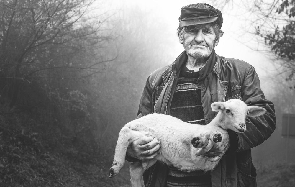 Photograph by Dimitris Vavliaras