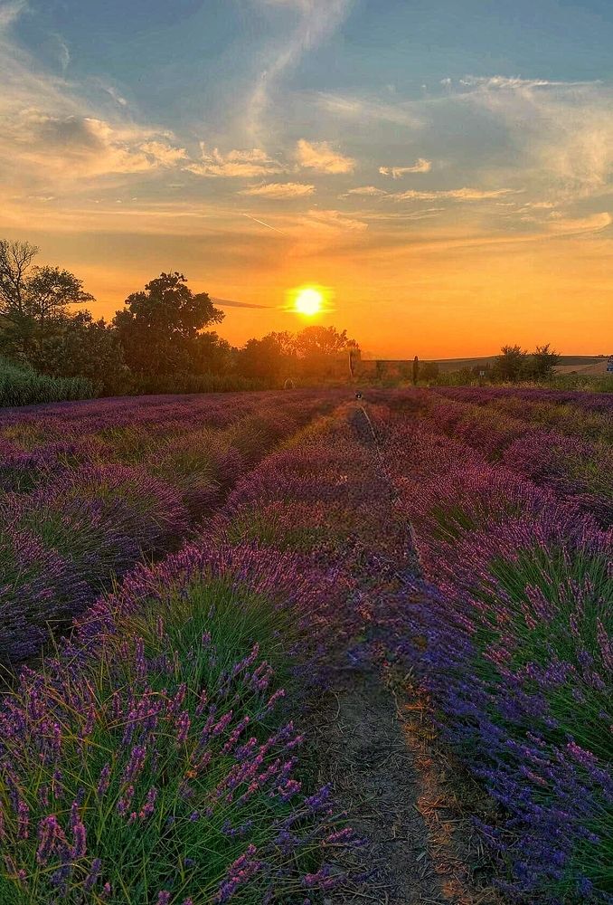 Photograph by Елена Егорова