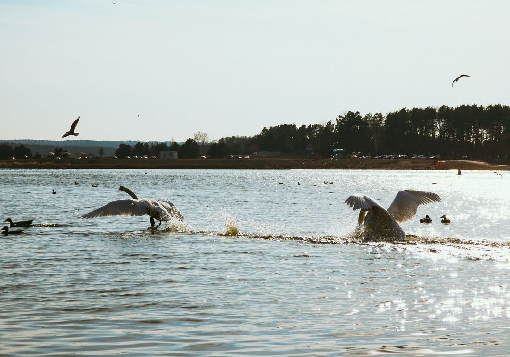 Photograph by Vitaliy