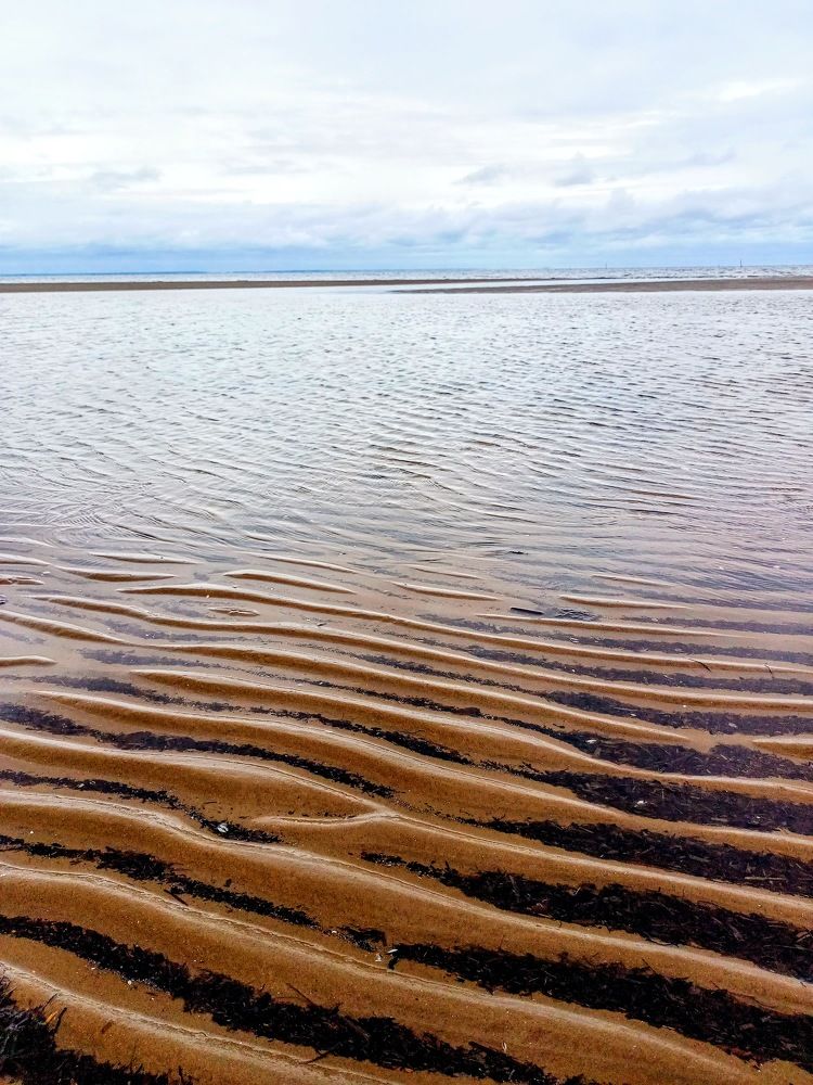 Photograph by Анна