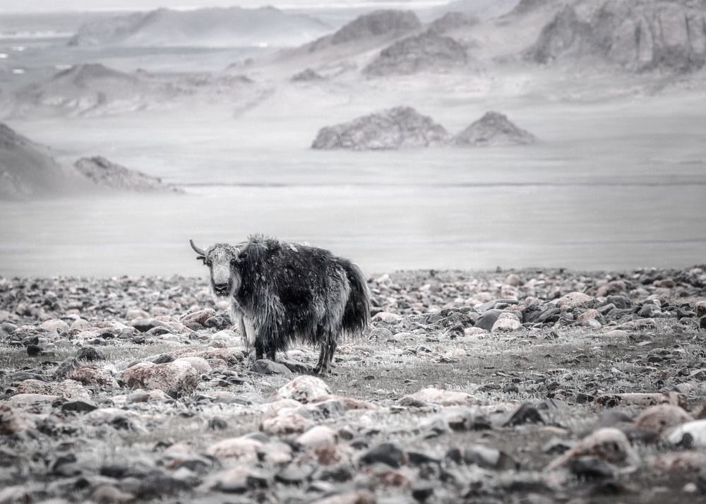 Photograph by Елена Станькова