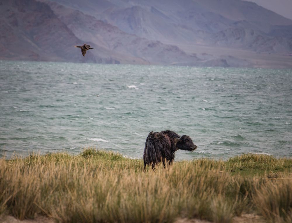 Photograph by Елена Станькова