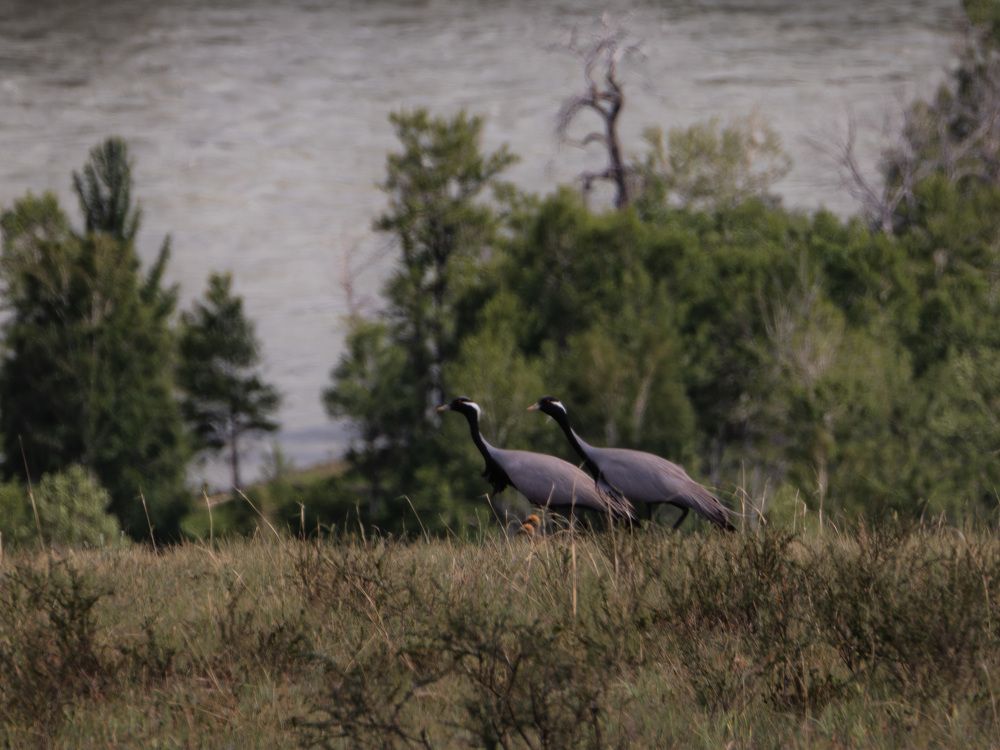 Photograph by Елена Станькова