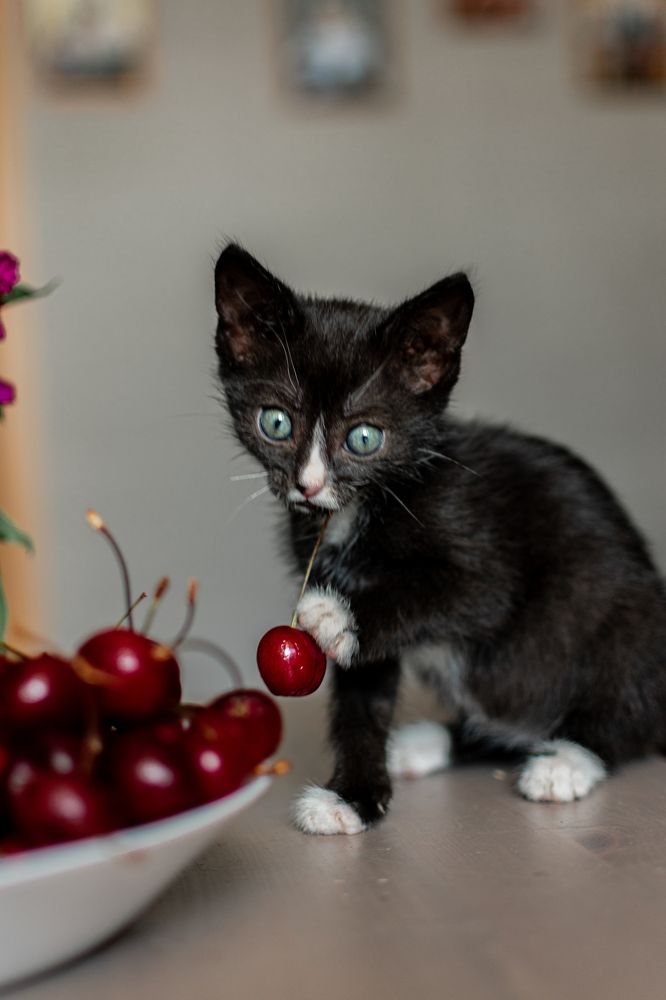 Photograph by Екатерина Абатурова