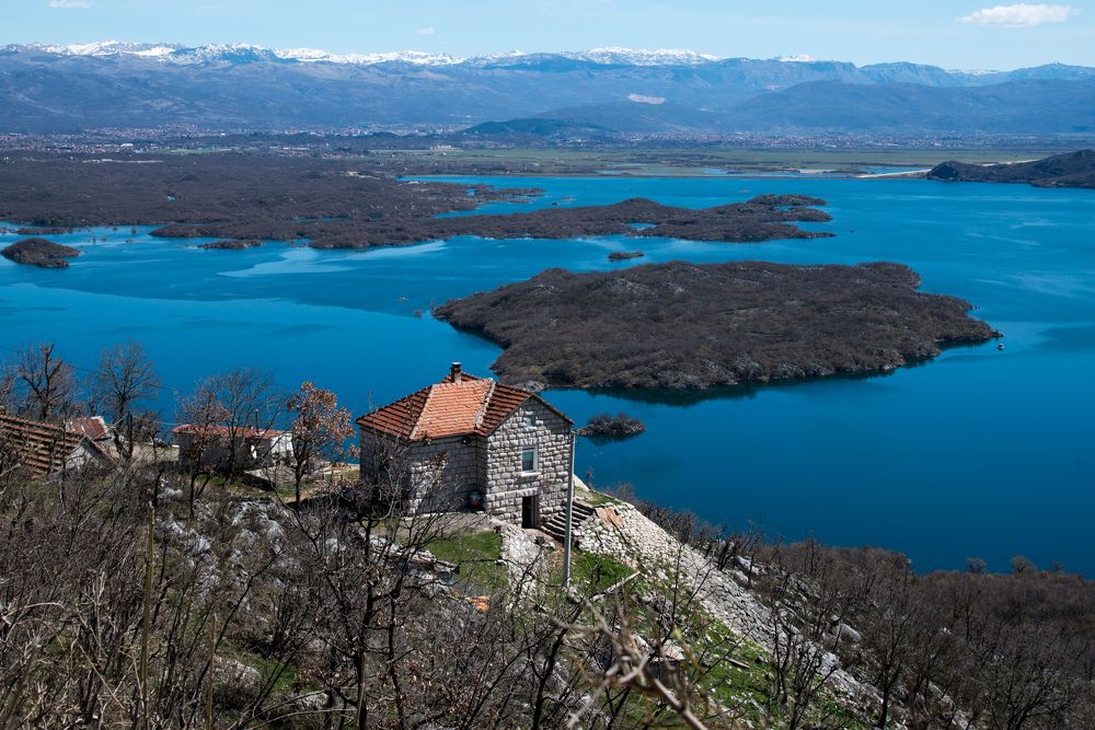 Фотография автора Юлия