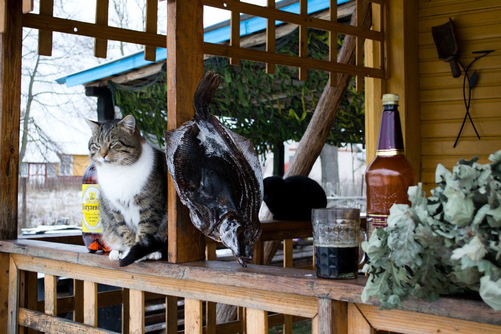 Фотография автора Юлия Кранина