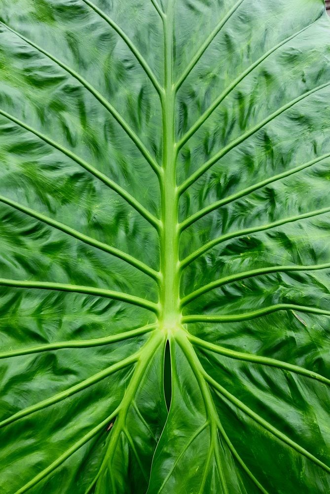 Photograph by Natalia Rassokhina