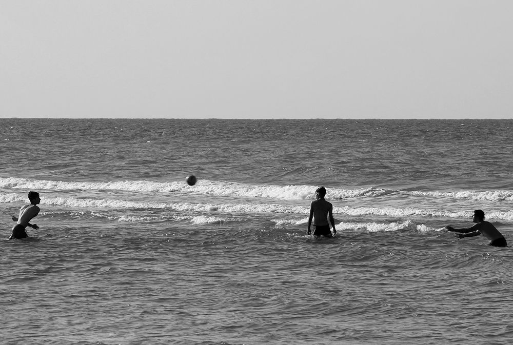 Photo #9405190