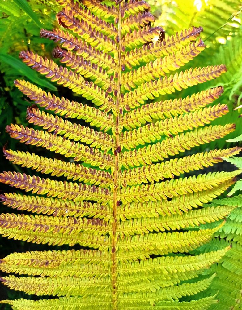 Photograph by Юрий Киреичев