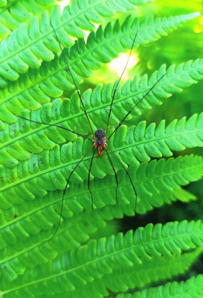 Photograph by Юрий Киреичев