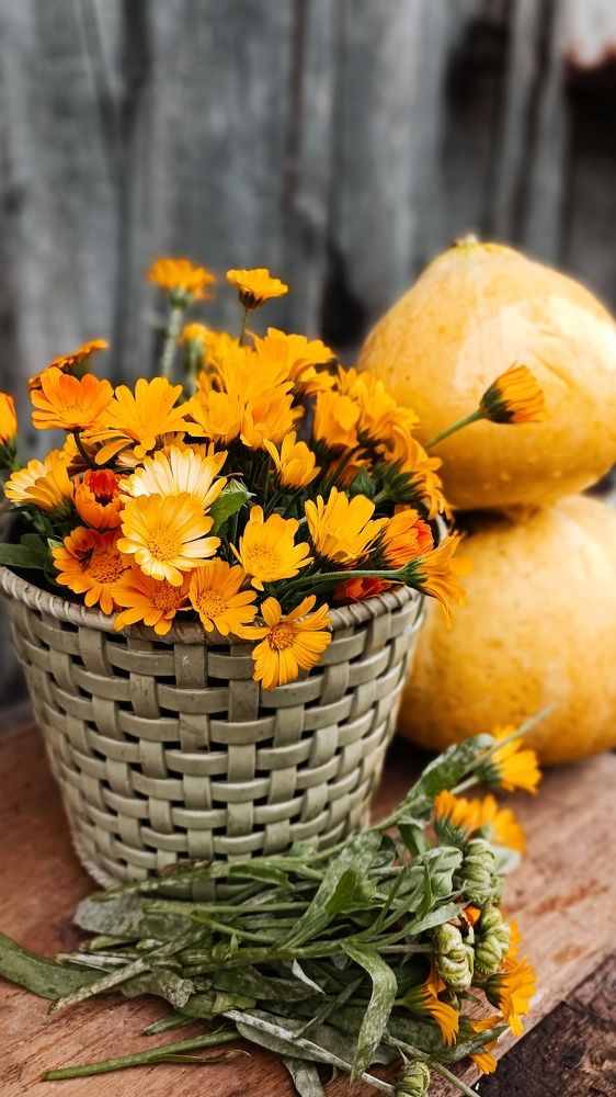 Оранжевое настроение