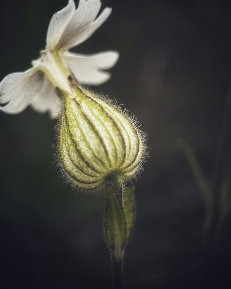 Photograph by Ольга Дорошенко