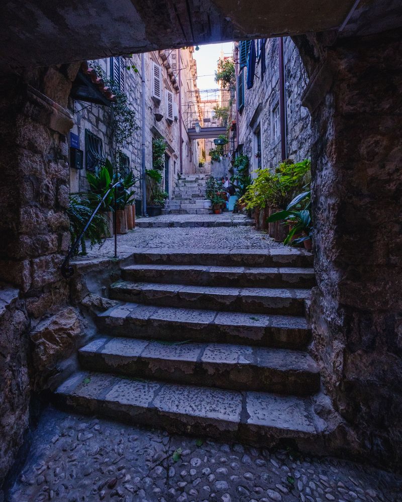 Photograph by Dmitry Ishniyazov