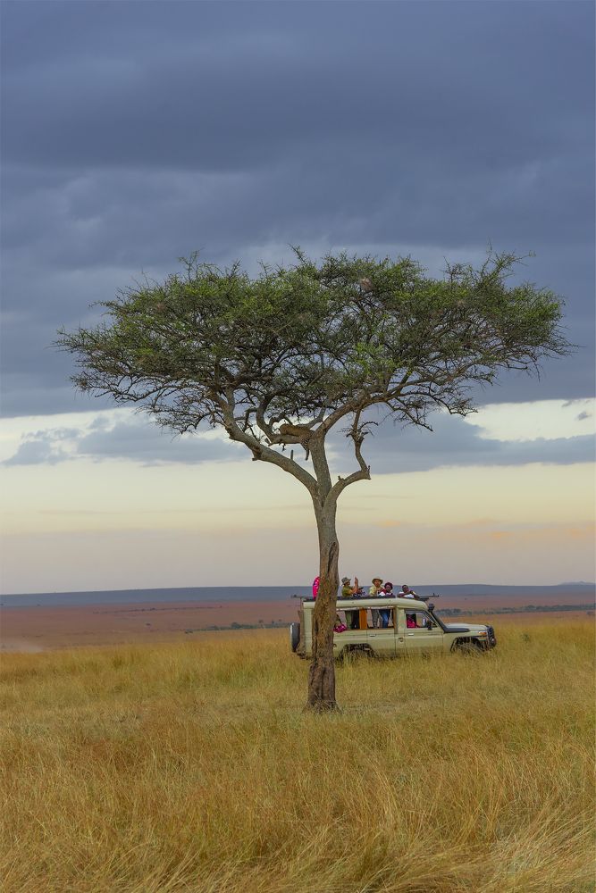 Tourist and the wildlife in beautiful landscape