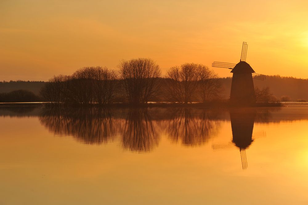 В золотой час рассвета.